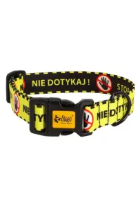 Dingo Obroża regulowana City - Nie Dotykaj 3,0cm/60cm