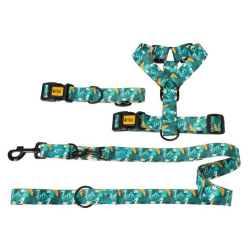 Dingo Obroża regulowana City - Monstera 3,0cm/60cm