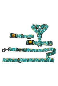 Dingo Obroża regulowana City - Monstera 3,0cm/60cm