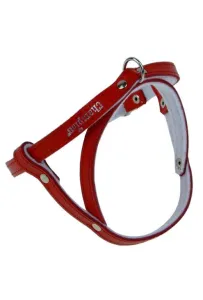 Champion Szelki 40 czerwone [SD(R)]