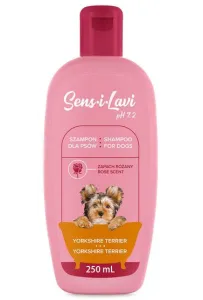 DermaPharm Sens-i-Lavi szampon yorkshire terrier 250ml