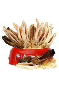 Vector-Food Uszy królicze z sierścią 20szt