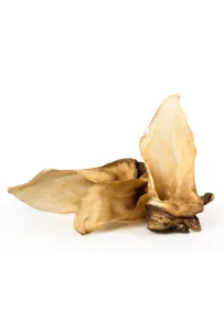 Balto Ucho sarny 5szt