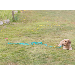 Trixie Wkręt do przywiązywania psa 40cm/9mm  [TX-2259]