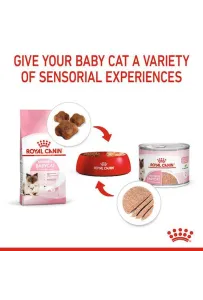 Royal Canin Mother & Babycat Mousse karma mokra - mus dla kociąt i kotek karmiących puszka 195g