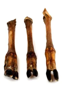 Balto Racica jelenia 2szt