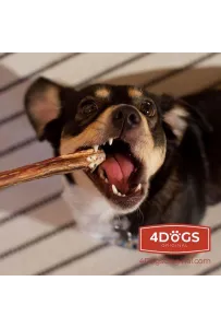 4DOGS Gryzak z penisa wołowego M