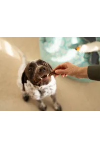 Josera Denties Duck & Carrot 180g