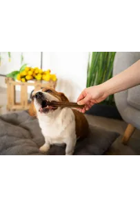 Josera Denties Poultry & Blueberry 180g