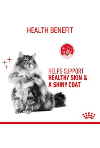 Royal Canin Hair & Skin Care w sosie  karma mokra dla kotów dorosłych, zdrowa skóra, piękna sierść saszetka 85g