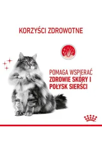 Royal Canin Hair & Skin Care karma mokra w galaretce dla kotów dorosłych, lśniąca sierść i zdrowa skóra saszetka 85g