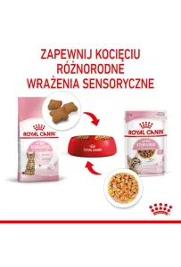 Royal Canin Kitten Sterilised karma mokra w galaretce dla kociąt od 6 do 12 miesiąca życia, sterylizowanych saszetka 85g
