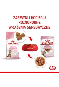 Royal Canin Kitten Sterilised karma mokra w sosie dla kociąt od 6 do 12 miesiąca życia, sterylizowanych saszetka 85g