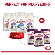 Royal Canin Sensory Smell w sosie karma mokra dla kotów dorosłych saszetka 85g