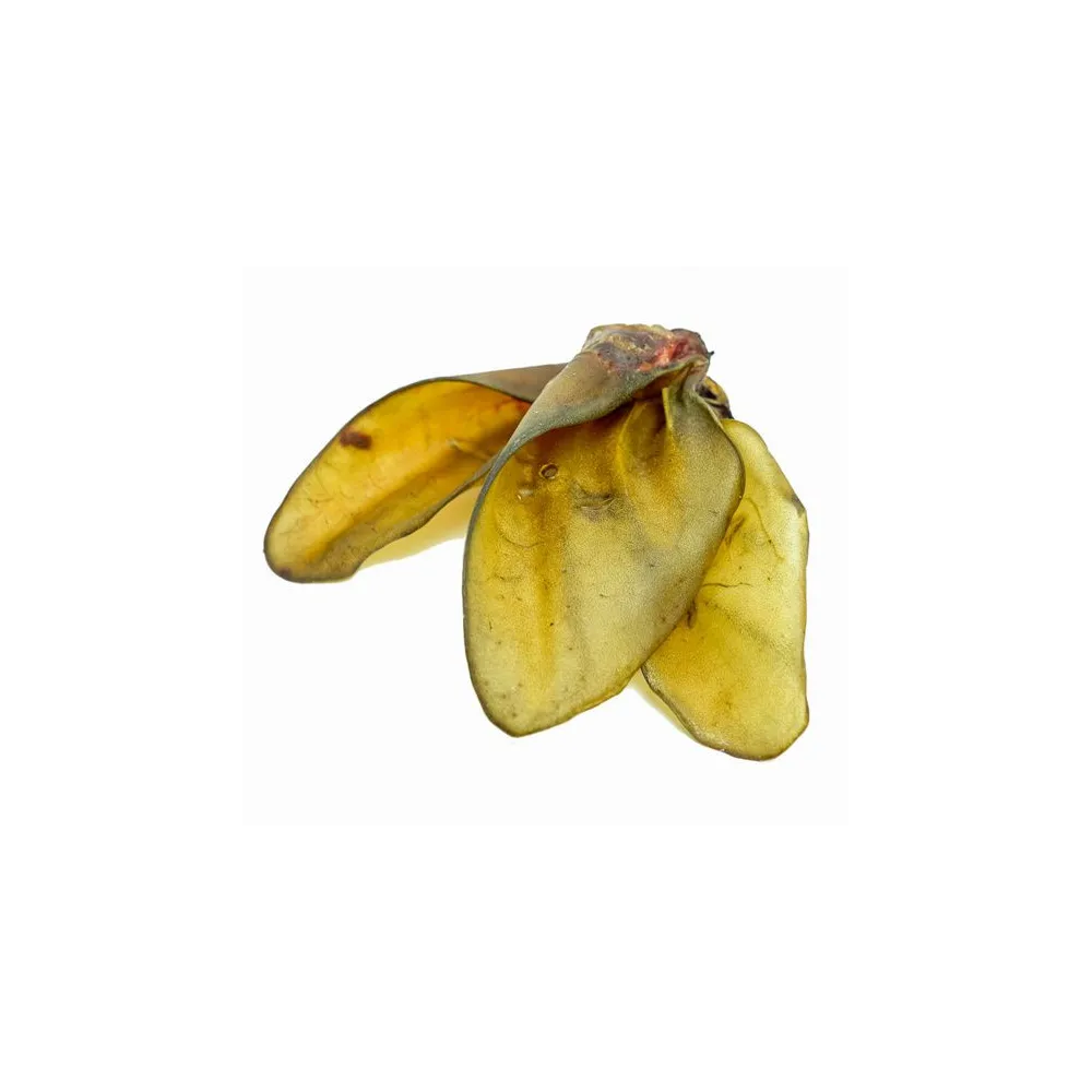 Balto Ucho wołowe 1szt.