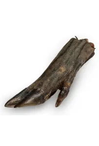 Balto Racica dzika 1szt