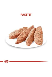 Royal Canin Urinary Care karma mokra dla psów dorosłych, wszystkich ras, wspierająca układ moczowy, pasztet saszetka 85g