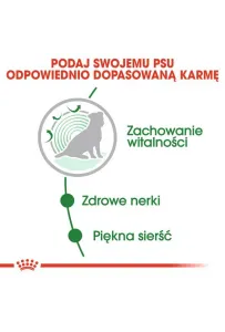 Royal Canin Mini Ageing 12+ karma mokra w sosie dla psów dojrzałych po 12 roku życia, ras małych saszetka 85g