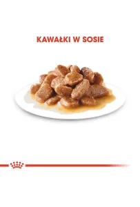 Royal Canin Mini Ageing 12+ karma mokra w sosie dla psów dojrzałych po 12 roku życia, ras małych saszetka 85g