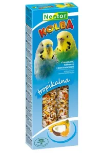 Nestor Kolba Papuga mała owoce tropikalne i kokos 2szt