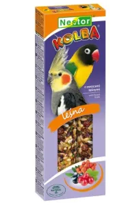 Nestor Kolba Papuga średnia owoce leśne 2szt