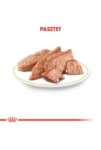 Royal Canin Yorkshire Terrier Adult karma mokra - pasztet, dla psów dorosłych rasy yorkshire terrier saszetka 85g