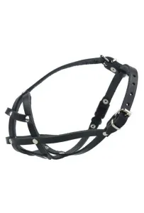 Champion Kaganiec skórzany dla buldoga francuskiego 1 [BF]