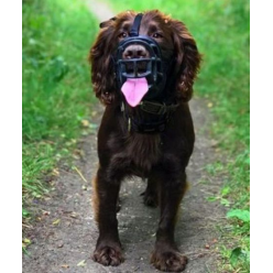 Baskerville Kaganiec Ultra-3 czarny