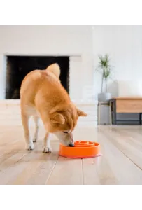 Outward Hound Fun Feeder Mini Miska pomarańczowa [51004]