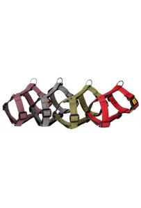 Dingo Szelki Guard dwupaskowe Scandi 3cm rozmiar M szare