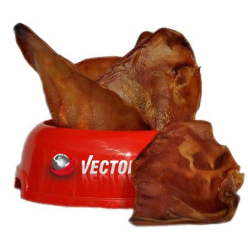 Vector-Food Ucho wieprzowe duże 10szt