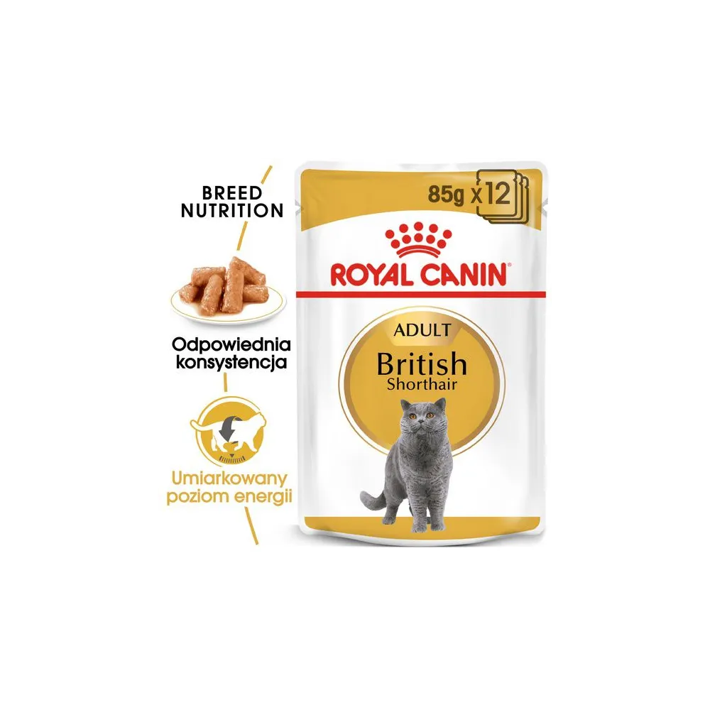 Royal Canin British Shorthair karma mokra w sosie dla kotów dorosłych rasy brytyjski krótkowłosy saszetka 85g