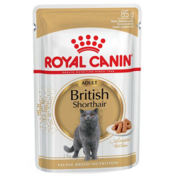 Royal Canin British Shorthair karma mokra w sosie dla kotów dorosłych rasy brytyjski krótkowłosy saszetka 85g