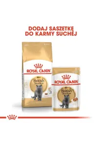Royal Canin British Shorthair karma mokra w sosie dla kotów dorosłych rasy brytyjski krótkowłosy saszetka 85g