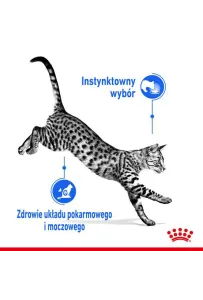 Royal Canin Indoor Sterilised Jelly karma mokra dla kotów dorosłych sterylizowanych, przebywających w domu saszetka 85g