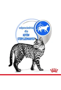Royal Canin Indoor Sterilised Jelly karma mokra dla kotów dorosłych sterylizowanych, przebywających w domu saszetka 85g
