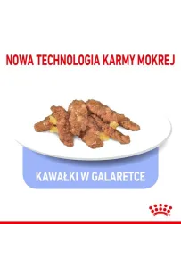 Royal Canin Indoor Sterilised Jelly karma mokra dla kotów dorosłych sterylizowanych, przebywających w domu saszetka 85g