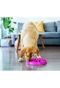 Outward Hound Fun Feeder Miska fioletowa [51003]