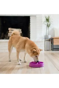 Outward Hound Fun Feeder Mini Miska fioletowa [51005]