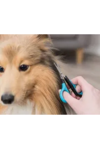 Trixie Nożyczki pielęgnacyjne [2360]