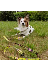 Dingo Smycz przepinana City - Nie Dotykaj 3x220cm