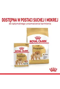Royal Canin Pomeranian Adult karma mokra dla psów dorosłych rasy szpic miniaturowy, pasztet saszetka 85g