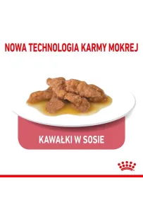 Royal Canin Indoor Sterilised sos karma mokra dla kotów dorosłych sterylizowanych, przebywających w domu saszetka 85g