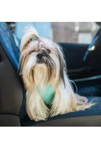 Dingo Szelki bezuciskowe z dwupaskową regulacją L miętowe