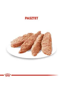 Royal Canin Digestive Care karma mokra dla psów dorosłych, wszystkich ras o wrażliwym przewodzie pokarmowym saszetka 85g