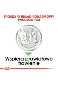 Royal Canin Digestive Care karma mokra dla psów dorosłych, wszystkich ras o wrażliwym przewodzie pokarmowym saszetka 85g