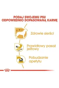 Royal Canin Chihuahua Adult karma mokra – pasztet, dla psów dorosłych rasy chihuahua saszetka 85g