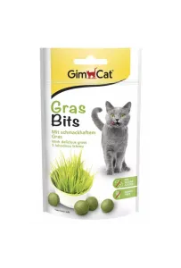 Gimcat Gras Bits 40G  /8