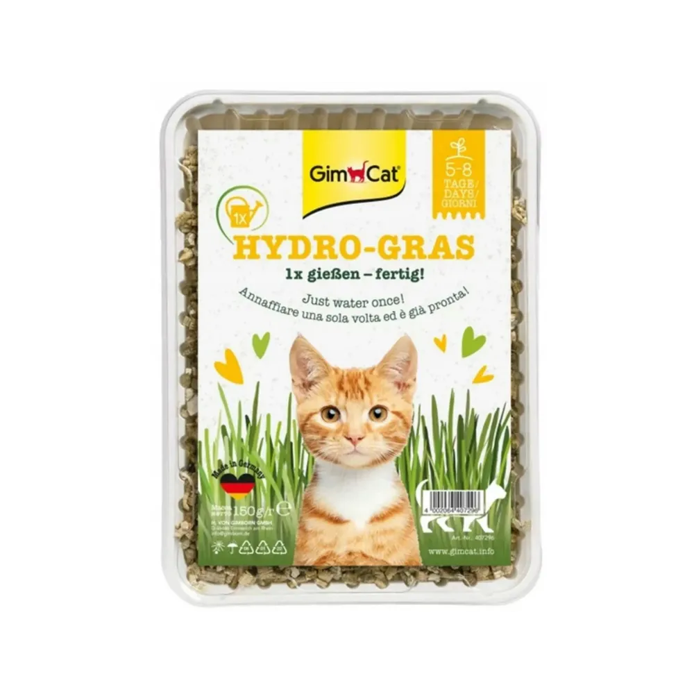 Gimcat Trawa Dla Kota   Hydro-Gras 150G /12
