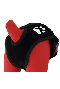 Grande Finale Majtki na cieczkę czarne Paw rozmiar 6 [M15]